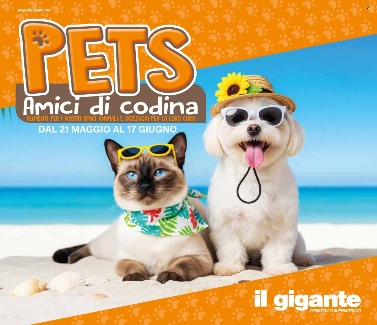 Volantino IL GIGANTE - Pets (2026-05-21 - 2026-06-17)