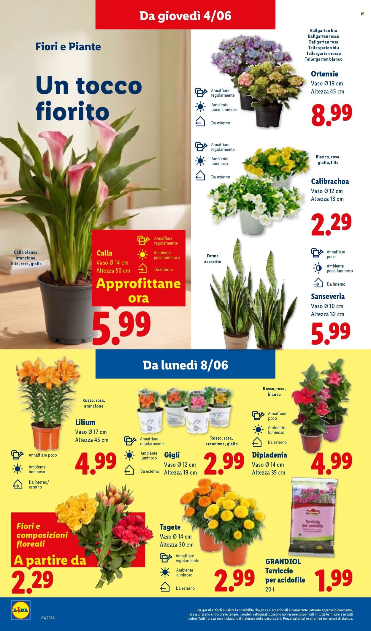 Volantino LIDL - XXL