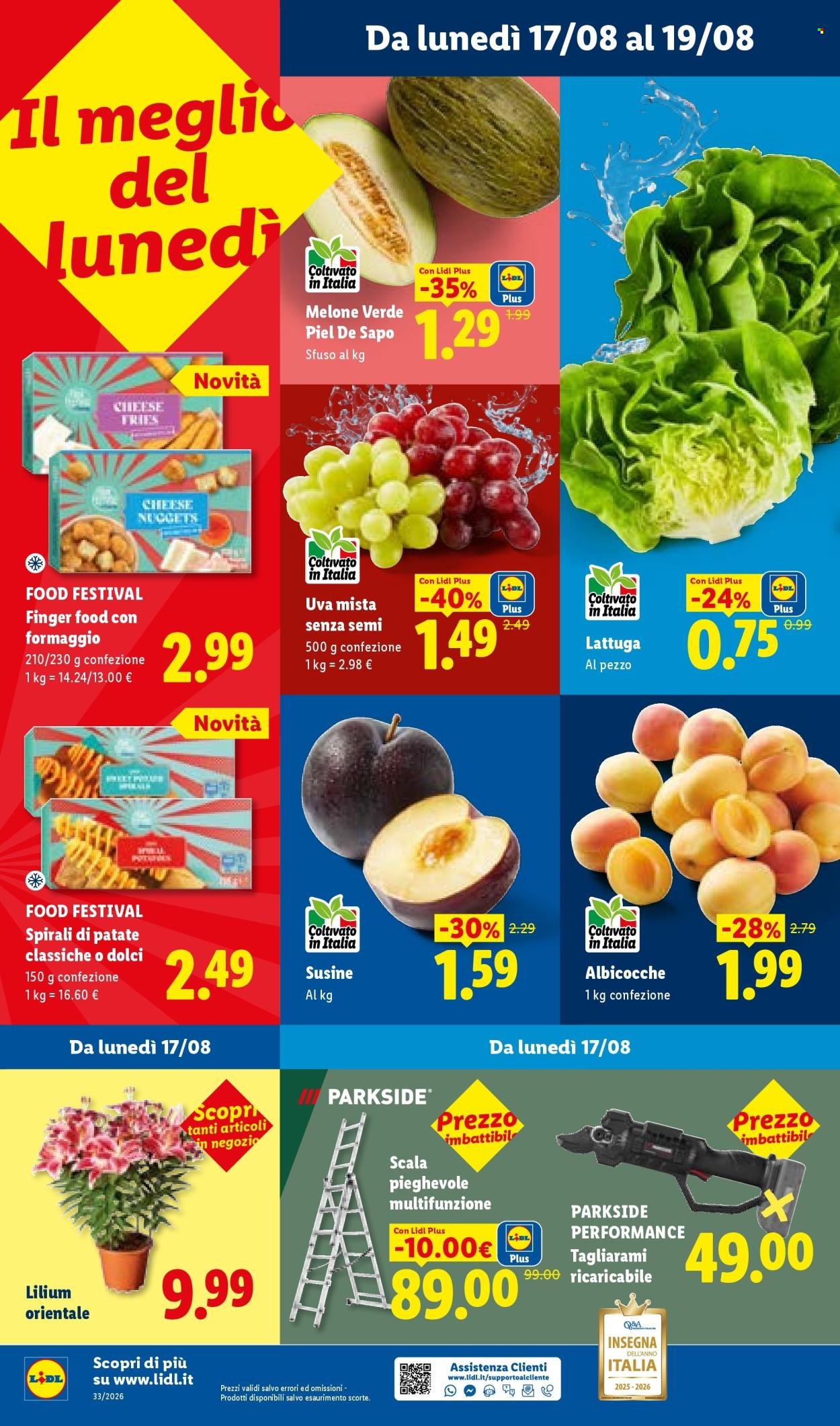 Volantino LIDL - Ferragosto fino al -50%