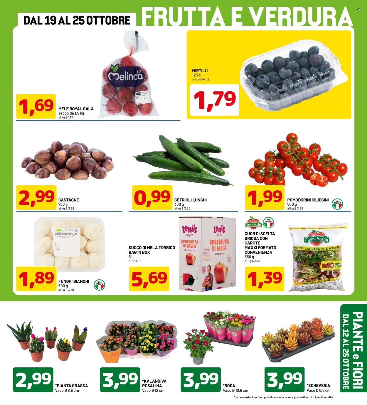 Volantino DPIÙ - TANTI PRODOTTI DA 0,50 A 3€
