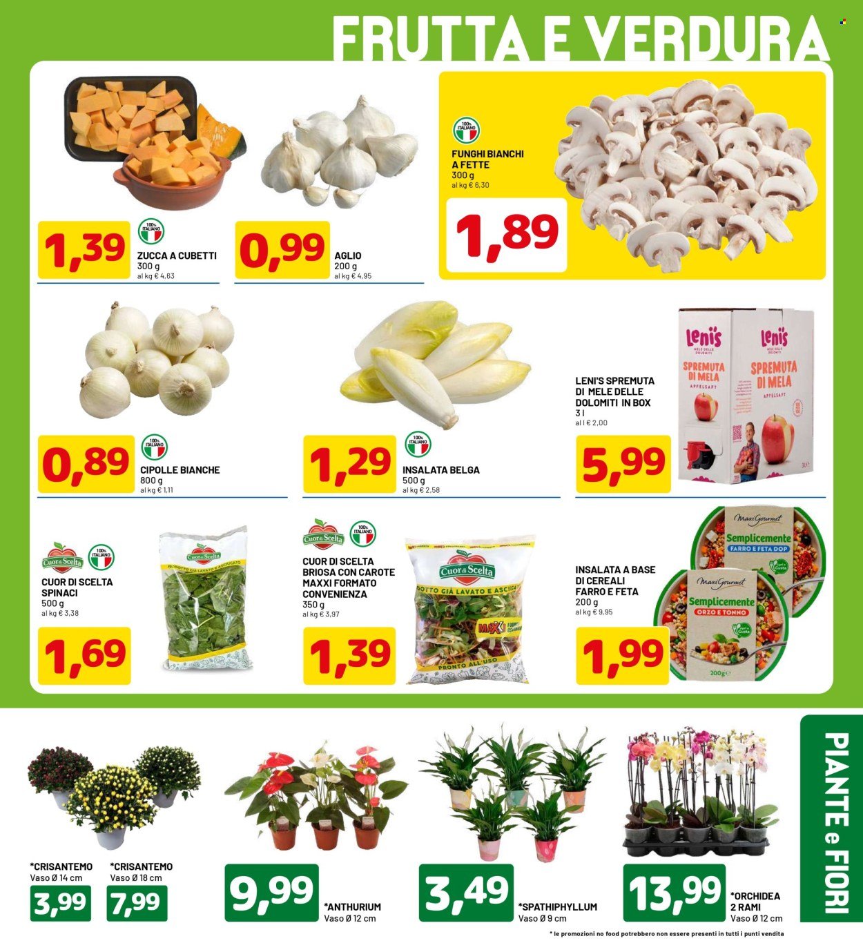 Volantino DPIÙ - MAXI FORMATI