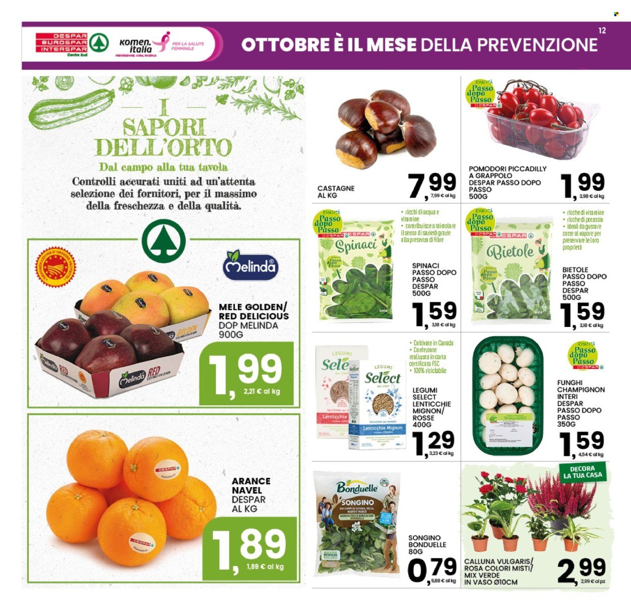 Volantino INTERSPAR - Da lunedì 12 2026