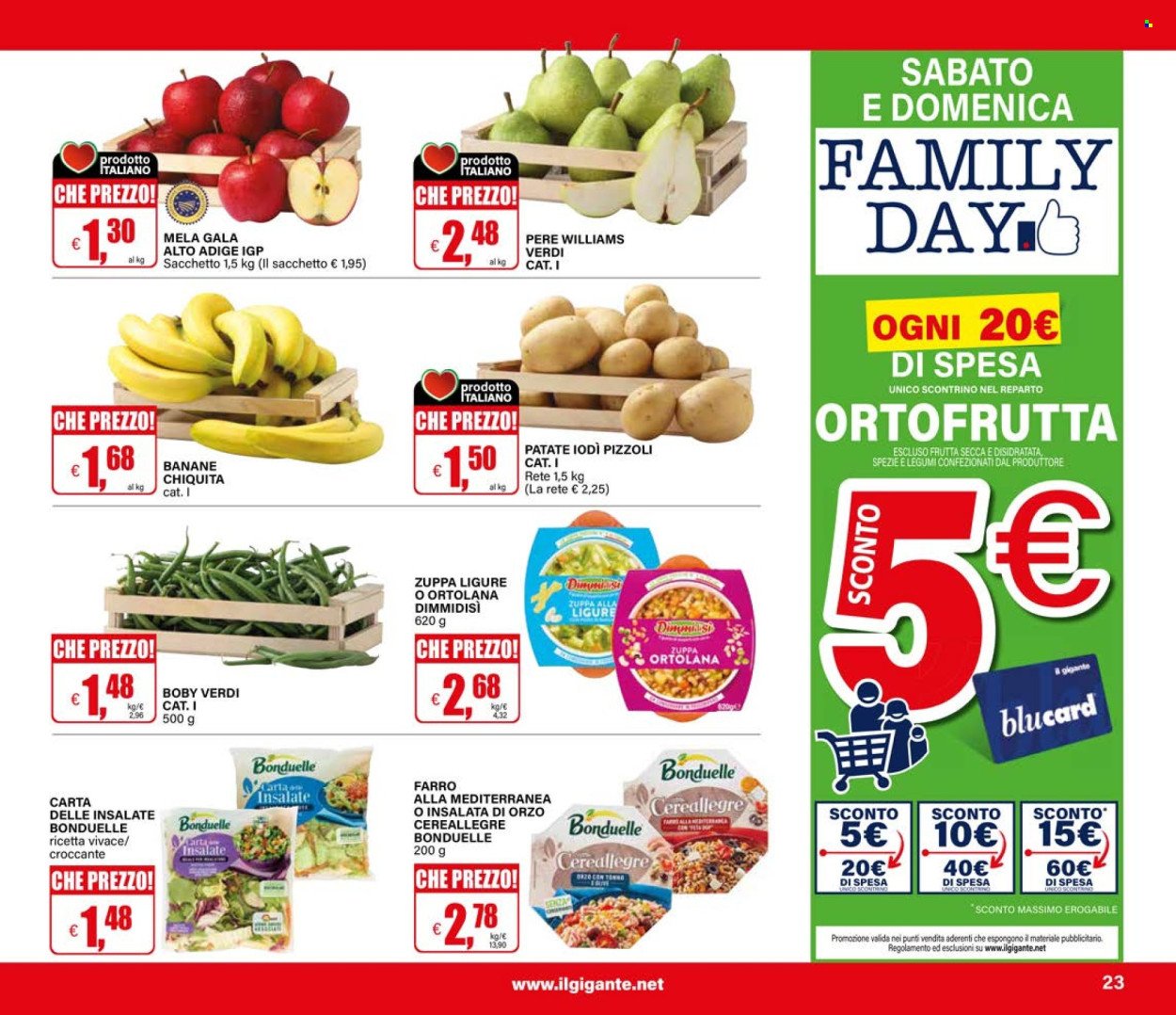 Volantino IL GIGANTE - Grandi Marche