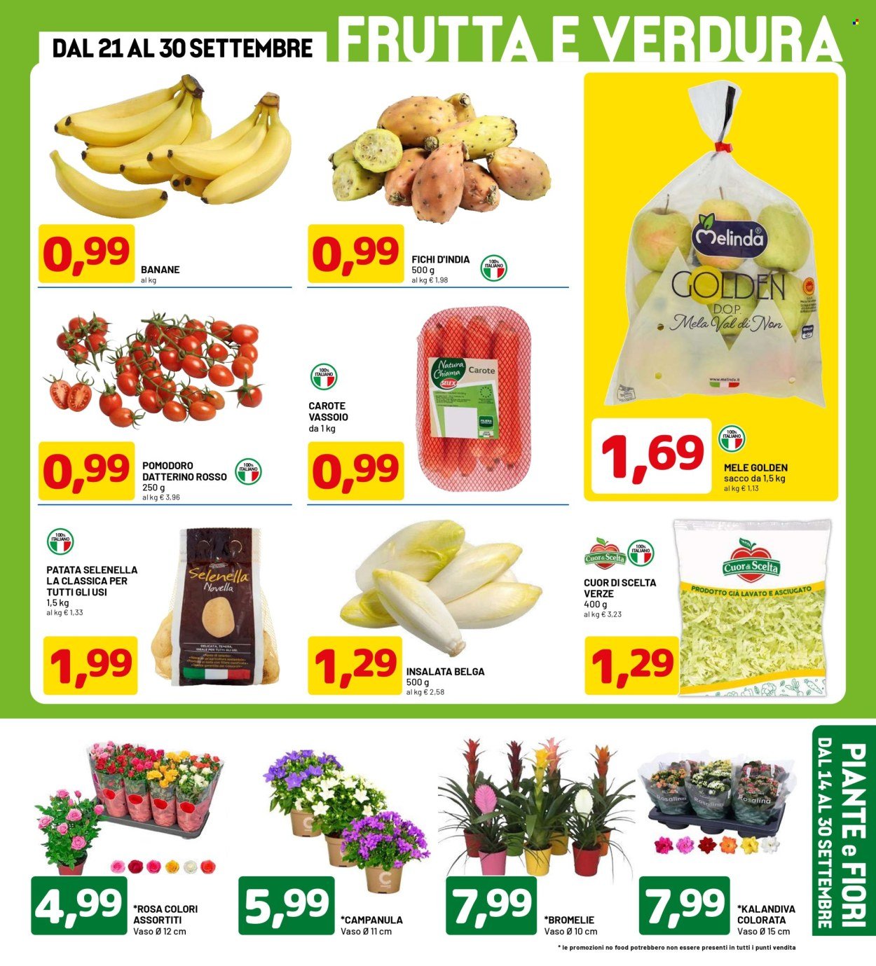 Volantino DPIÙ - PREZZI SHOCK