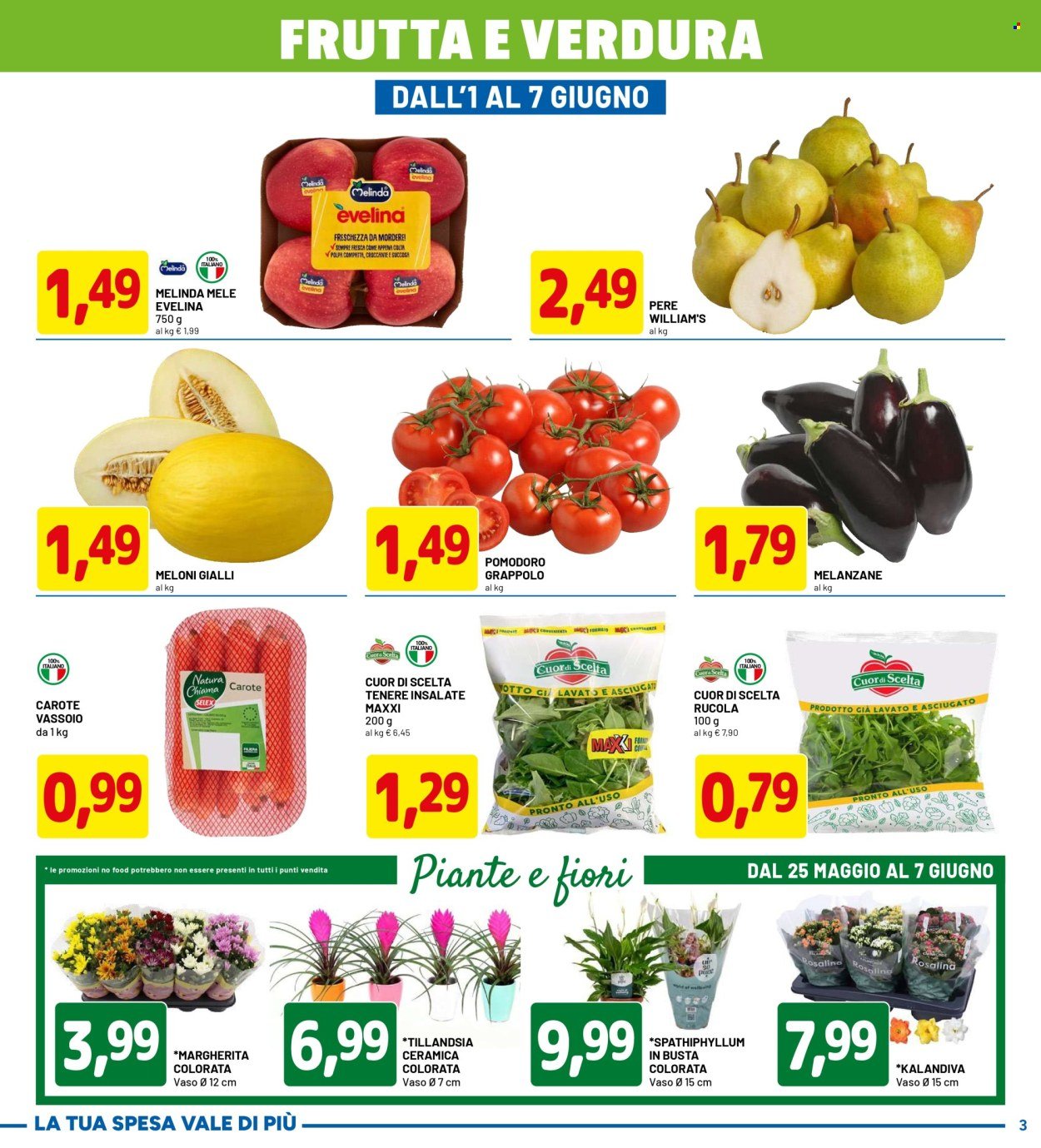 Volantino DPIÙ - SCONTI FINO AL 50% (2026-05-25 - 2026-06-07)