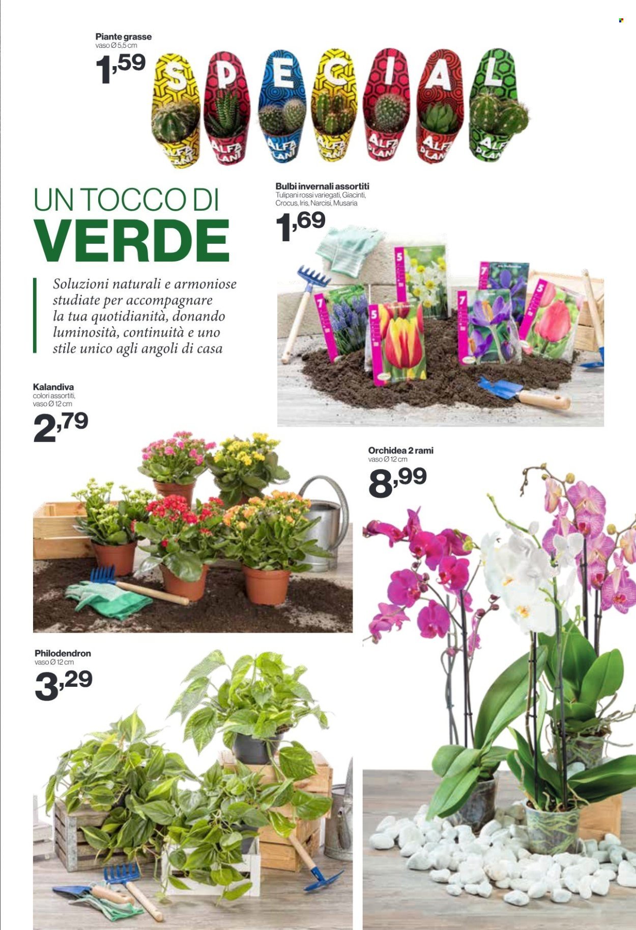 Volantino IN'S MERCATO - Da mercoledì 9 2026