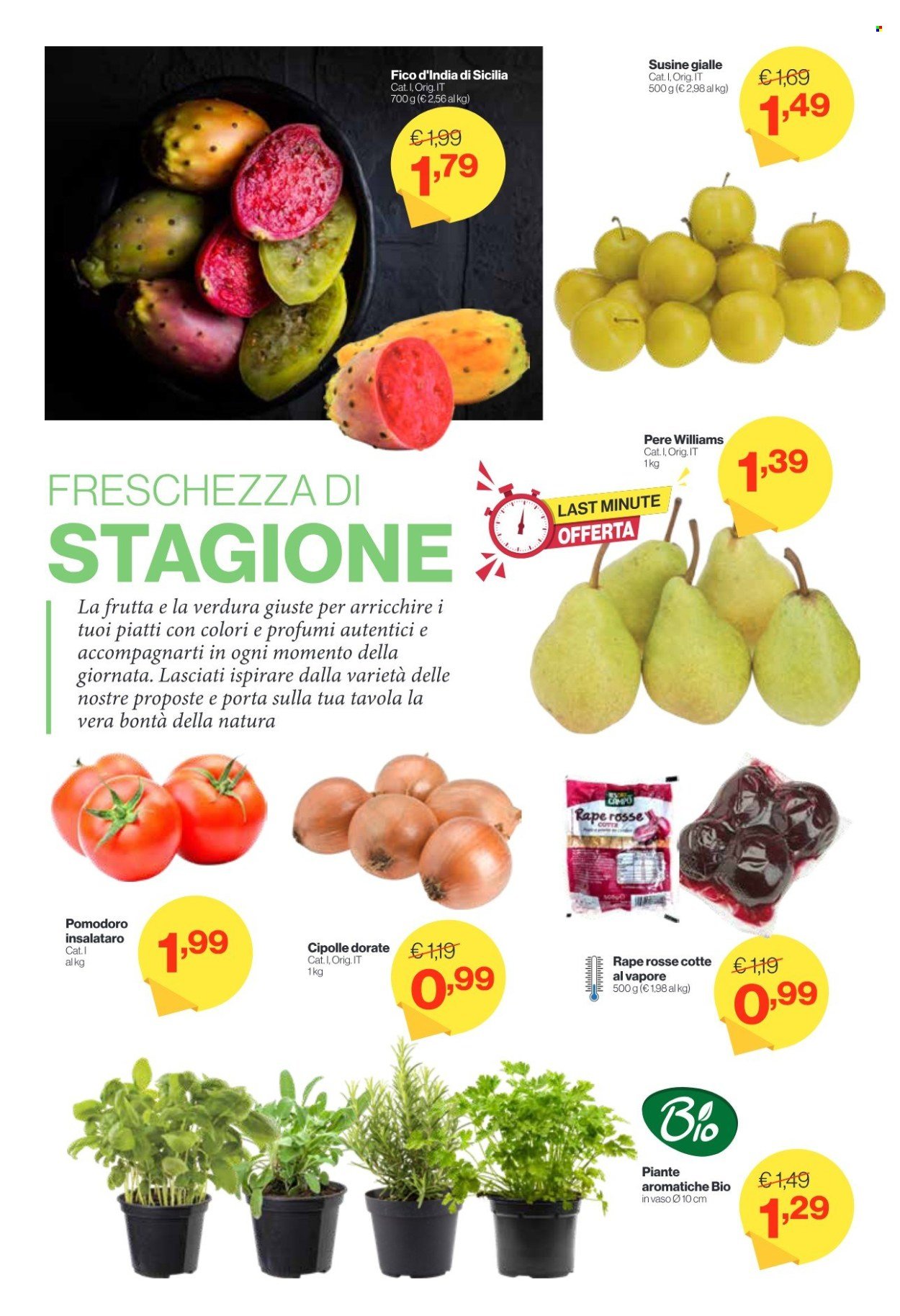 Volantino IN'S MERCATO - Da mercoledì 9 2026