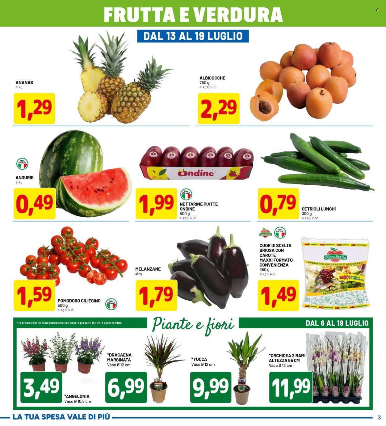 Volantino DPIÙ - SCONTI FINO AL 50%