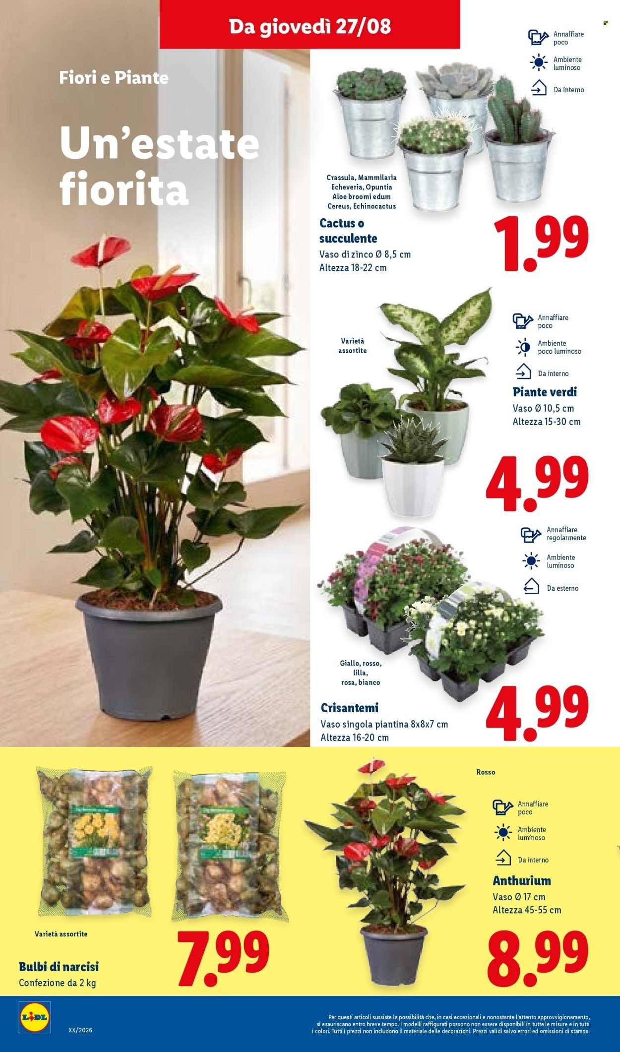 Volantino LIDL - Super Offerte