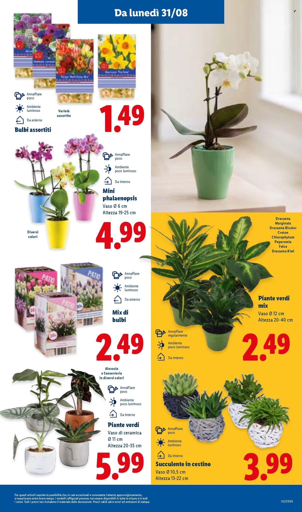Volantino LIDL - Super Offerte