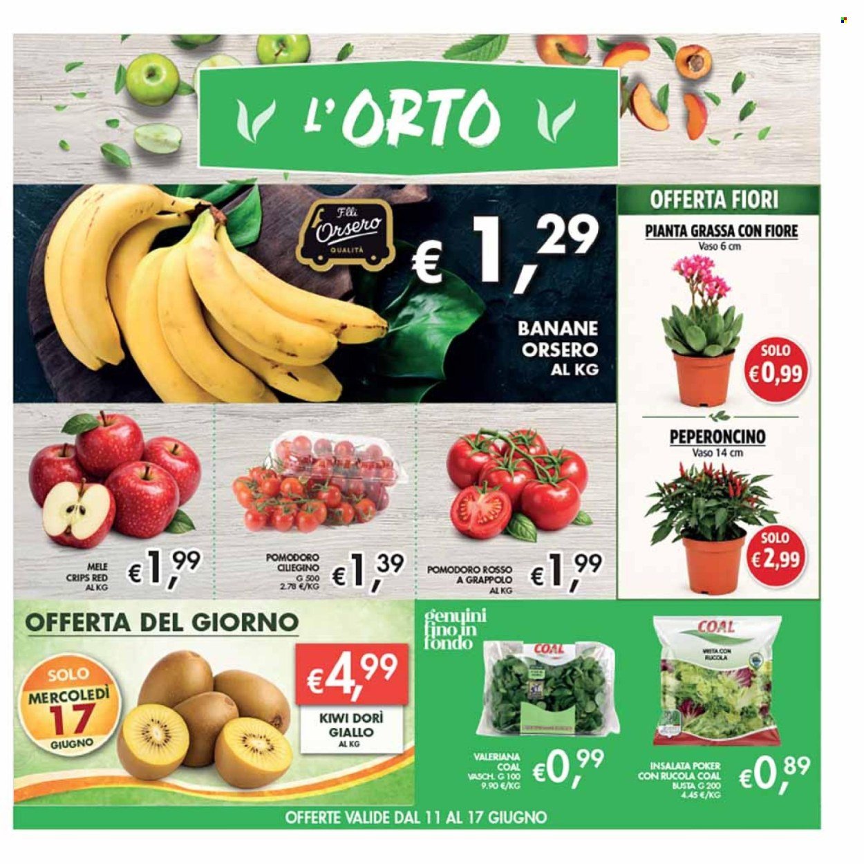 Volantino COAL - Da giovedì 4 2026