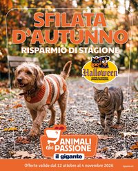 Volantino IL GIGANTE - Sfilata d'autunno
