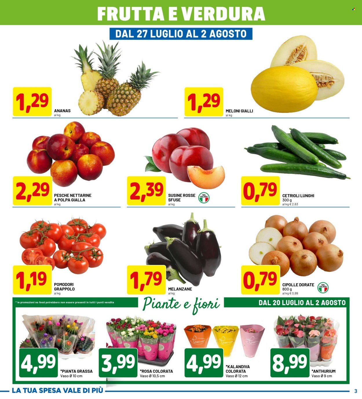 Volantino DPIÙ - MAXI FORMATI