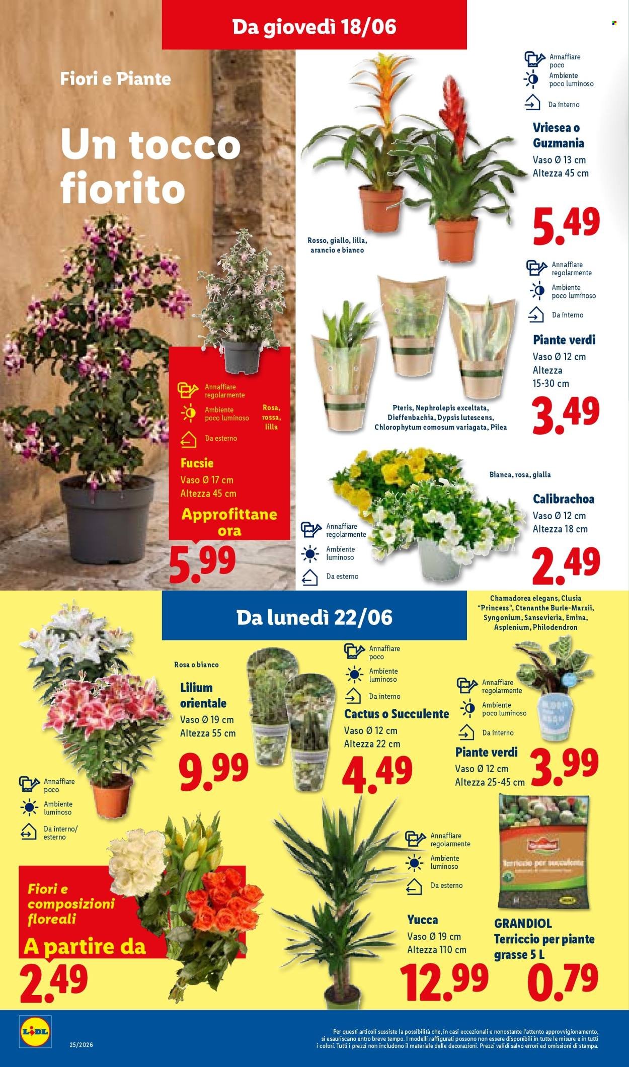 Volantino LIDL - L'estate del risparmio