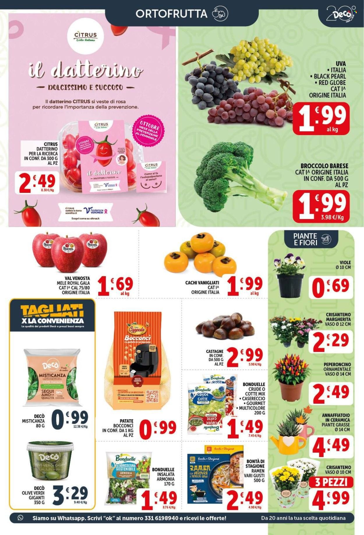 Volantino DECO - Da martedì 13 2026