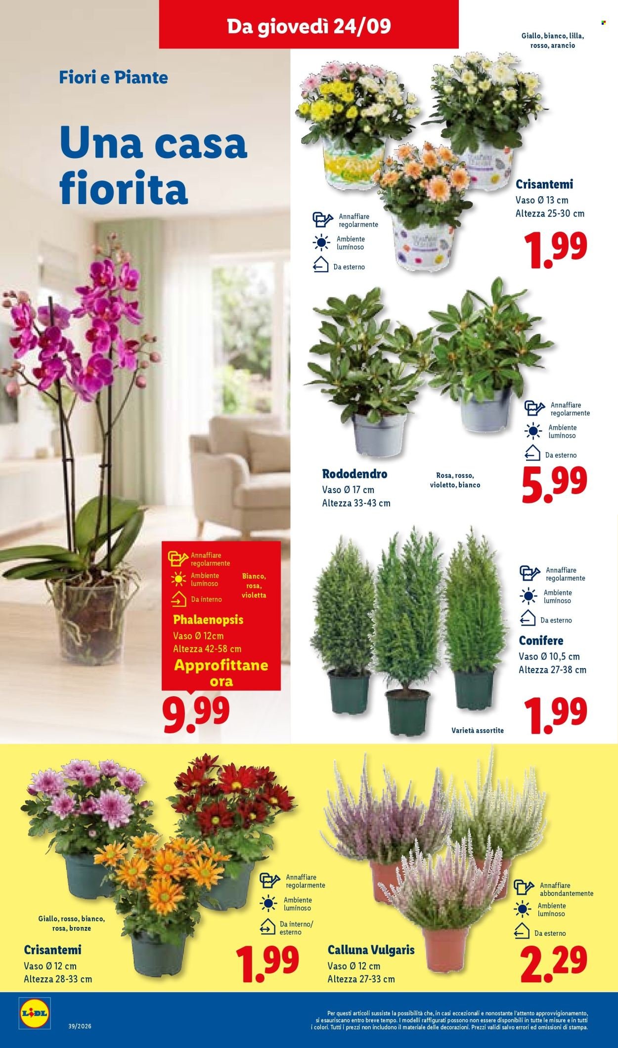 Volantino LIDL - Sotto Prezzi