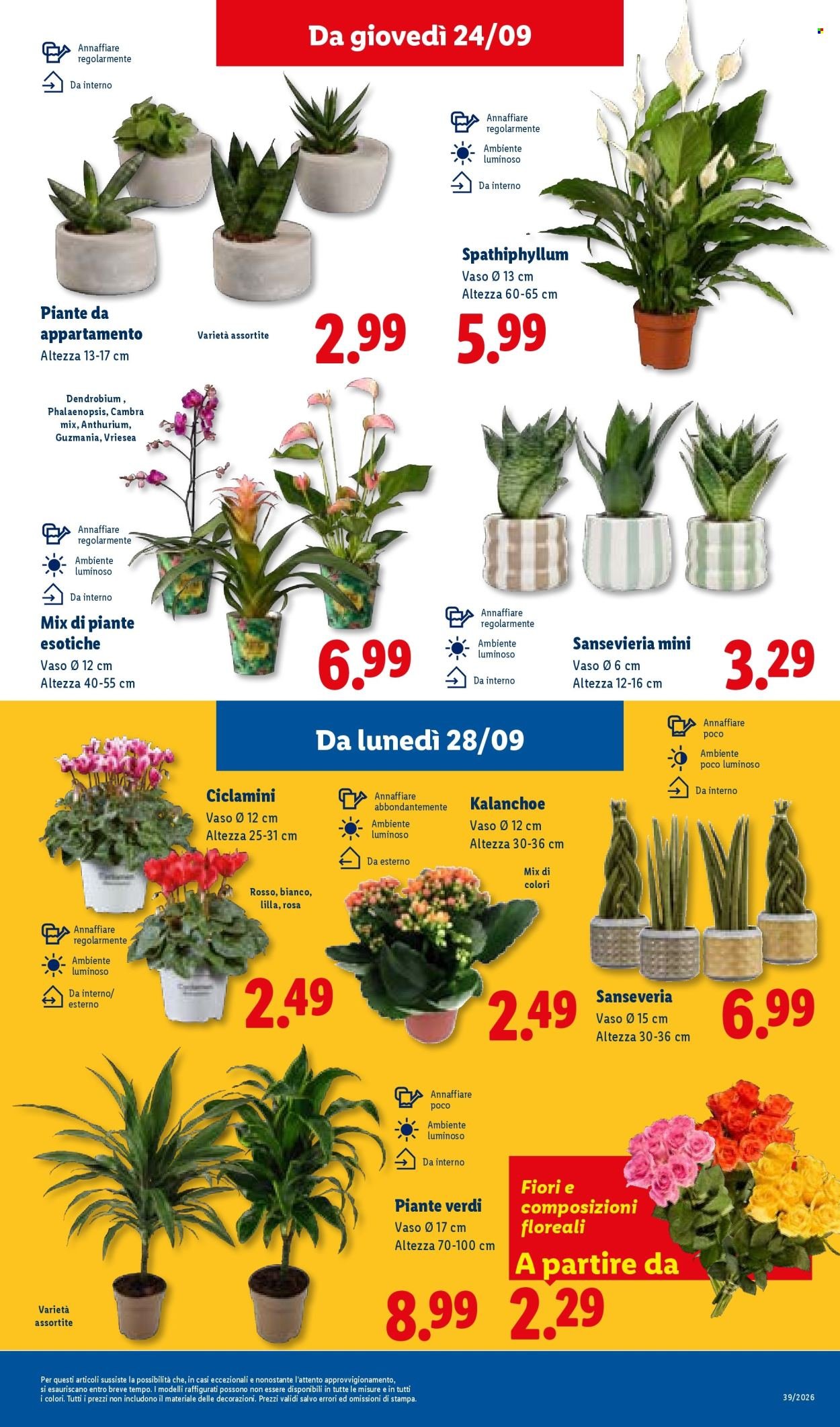 Volantino LIDL - Sotto Prezzi
