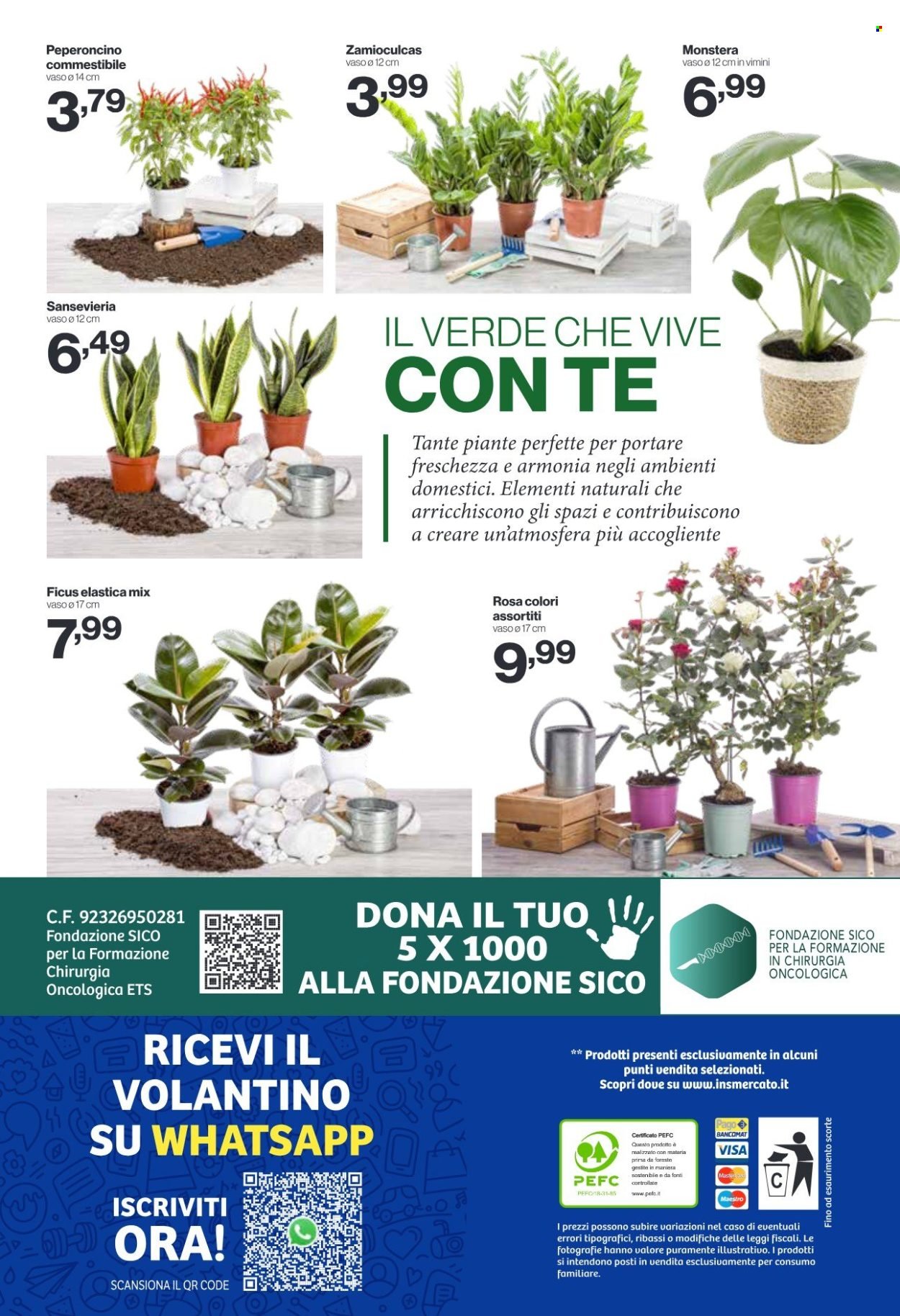 Volantino IN'S MERCATO - Da mercoledì 3 2026