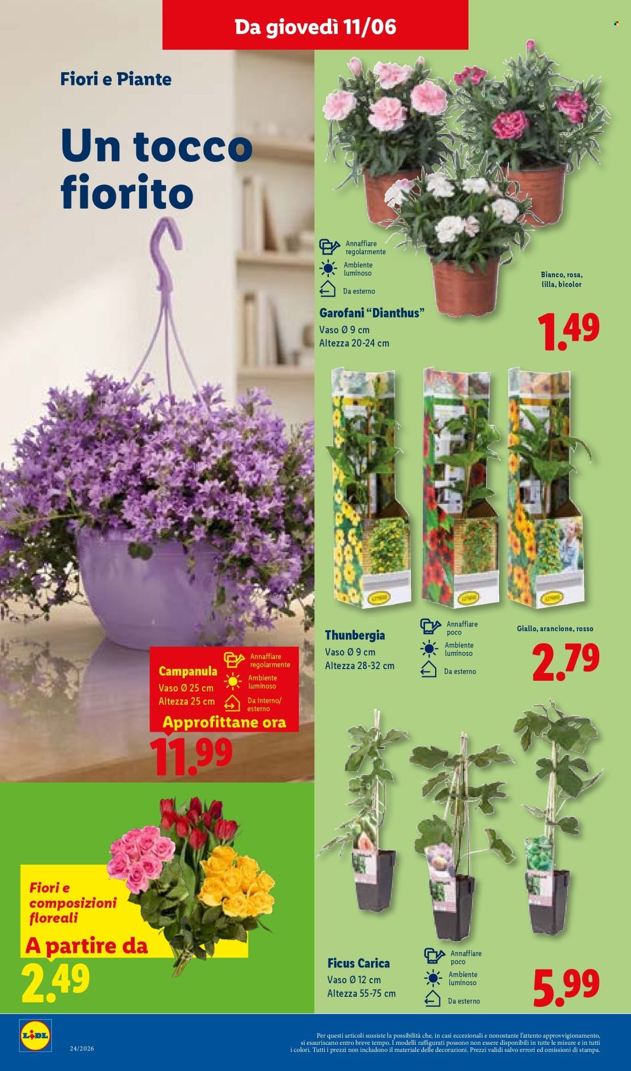Volantino LIDL - Da giovedì 11 2026