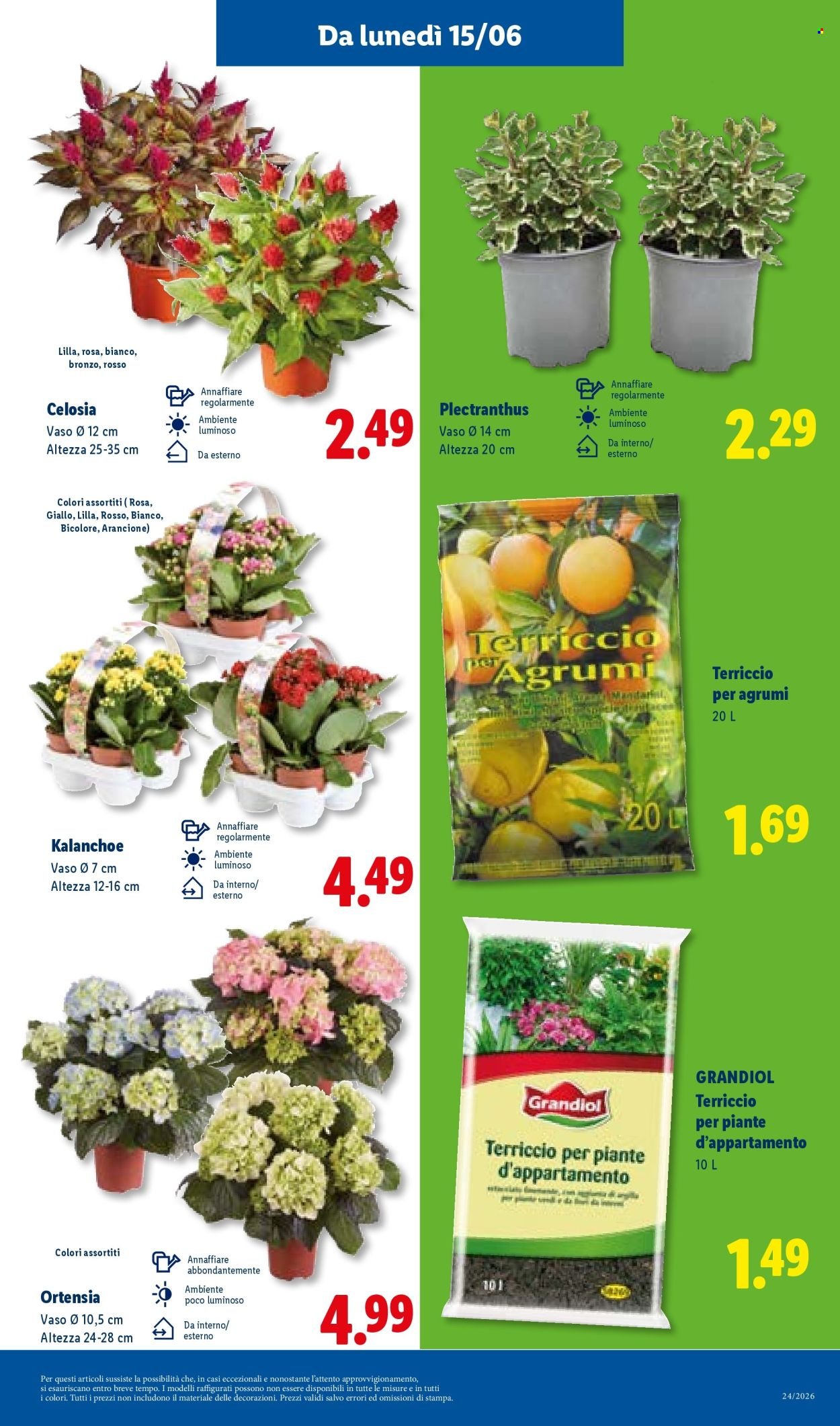 Volantino LIDL - Da giovedì 11 2026