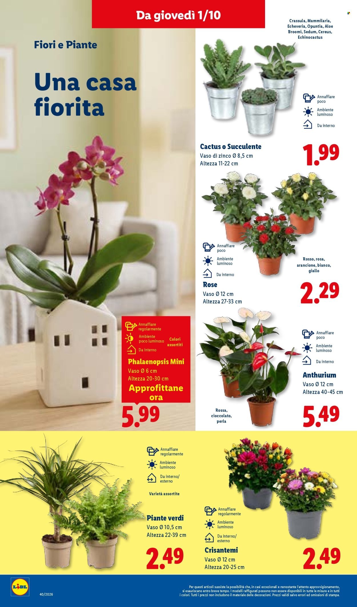 Volantino LIDL - Grandi offerte