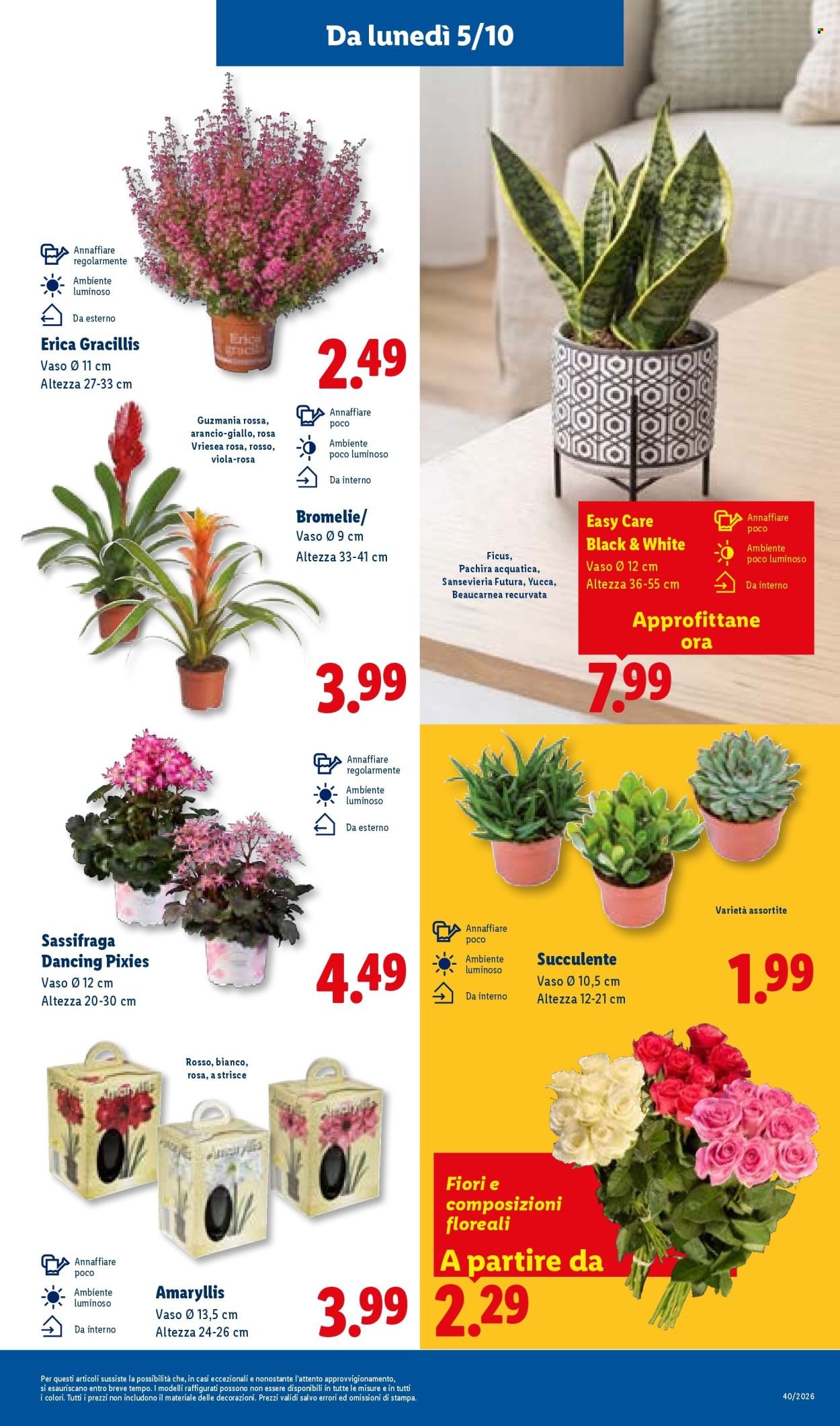 Volantino LIDL - Grandi offerte