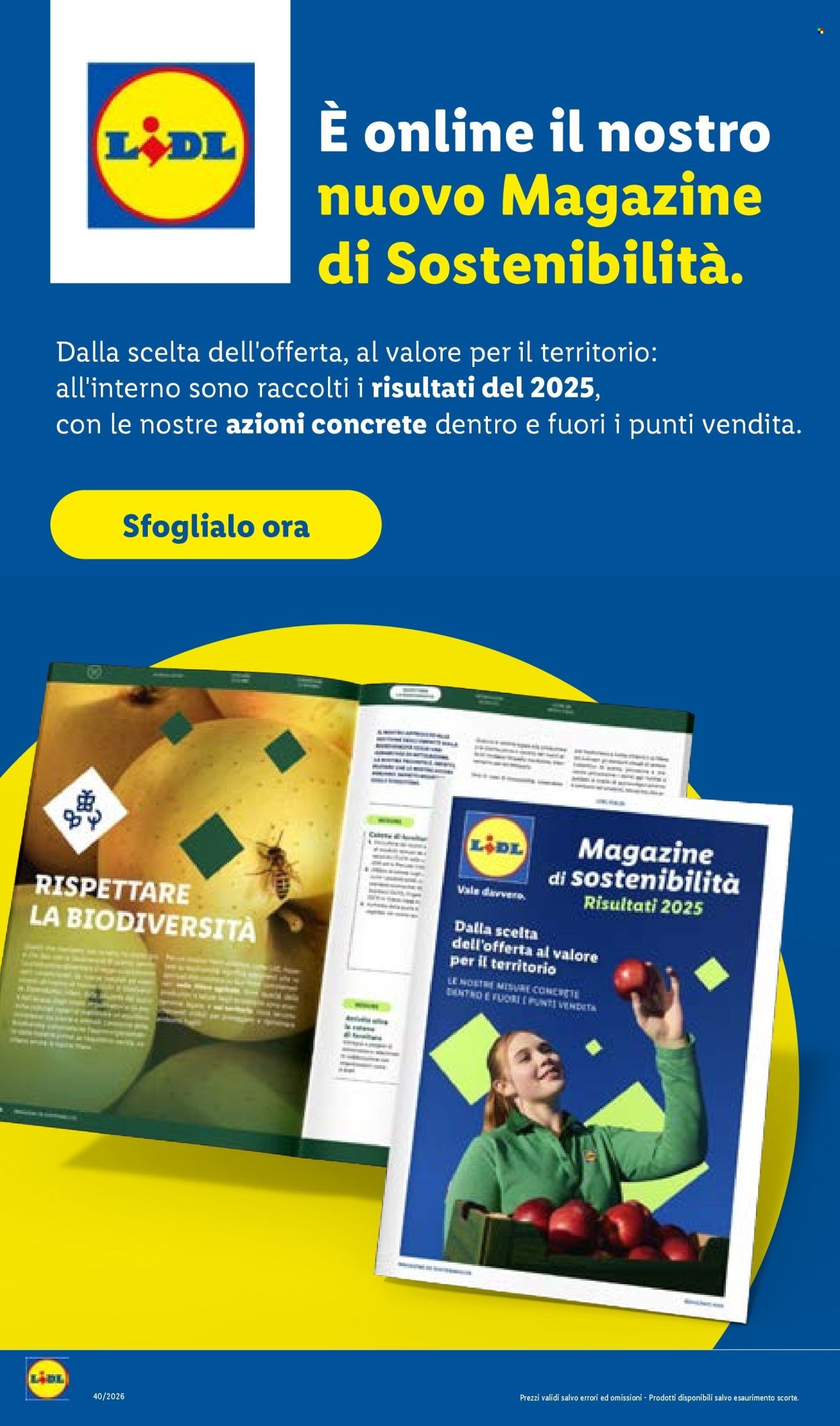 Volantino LIDL - Grandi offerte