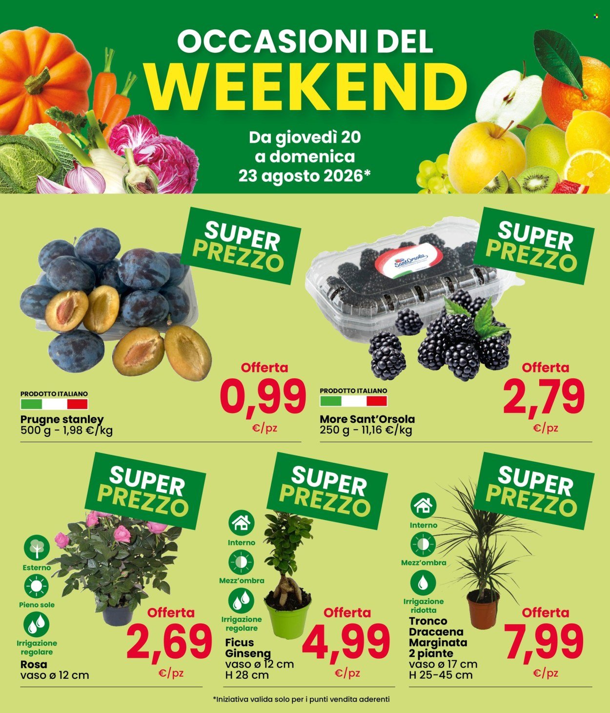 Volantino INTERSPAR - Fresche Occasioni
