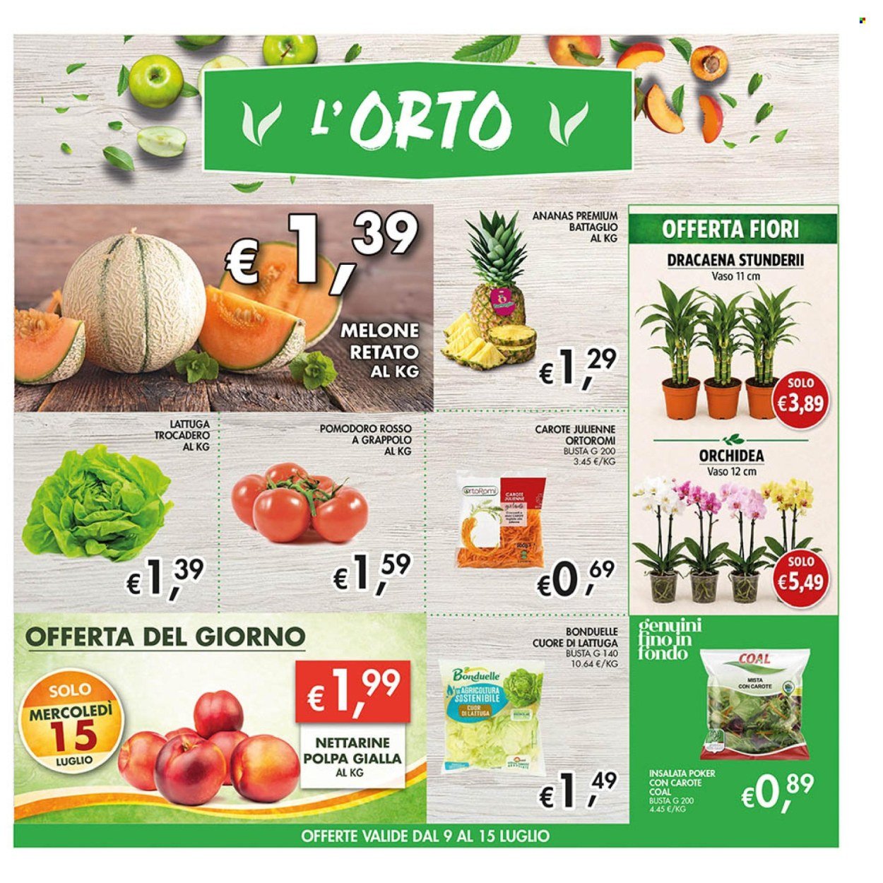 Volantino COAL - Da giovedì 2 2026