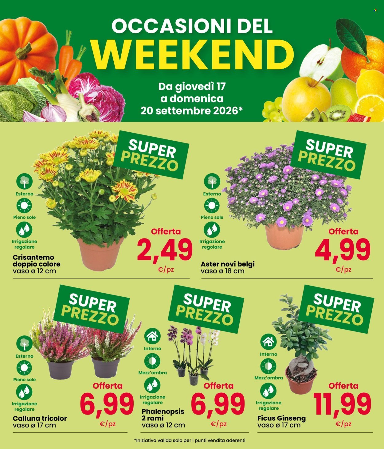 Volantino EUROSPAR - Fresche Occasioni
