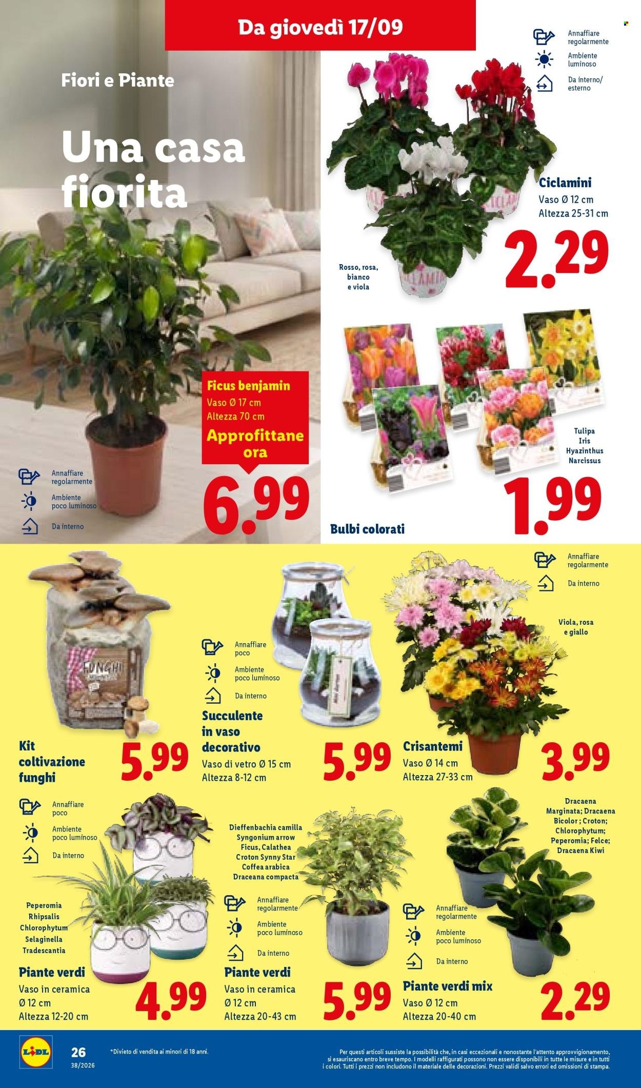 Volantino LIDL - XXL