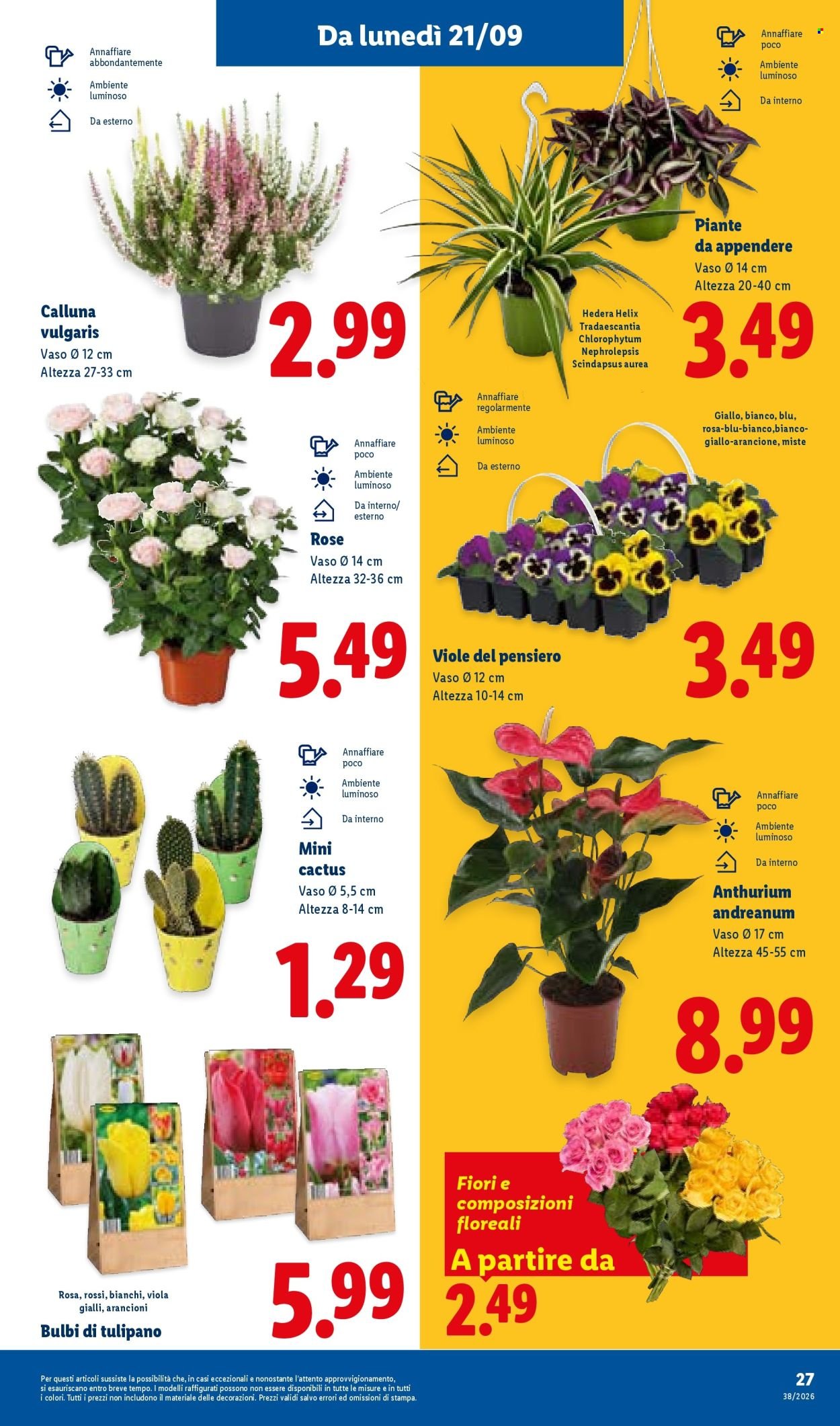 Volantino LIDL - XXL