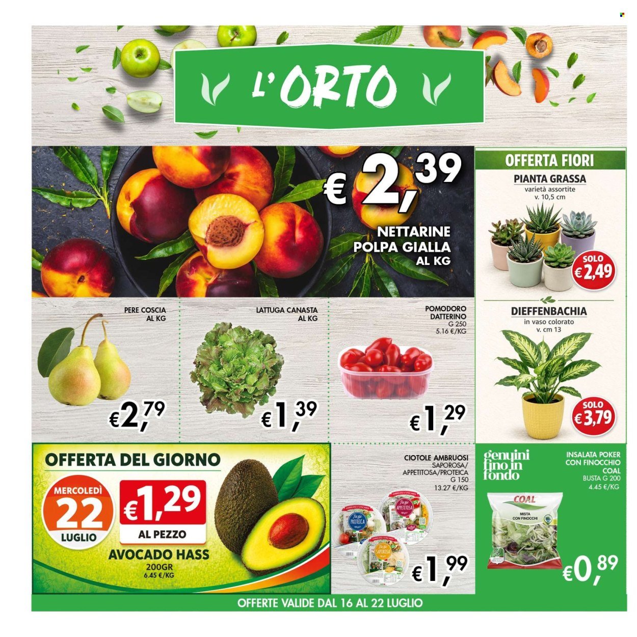 Volantino COAL - Da giovedì 16 2026