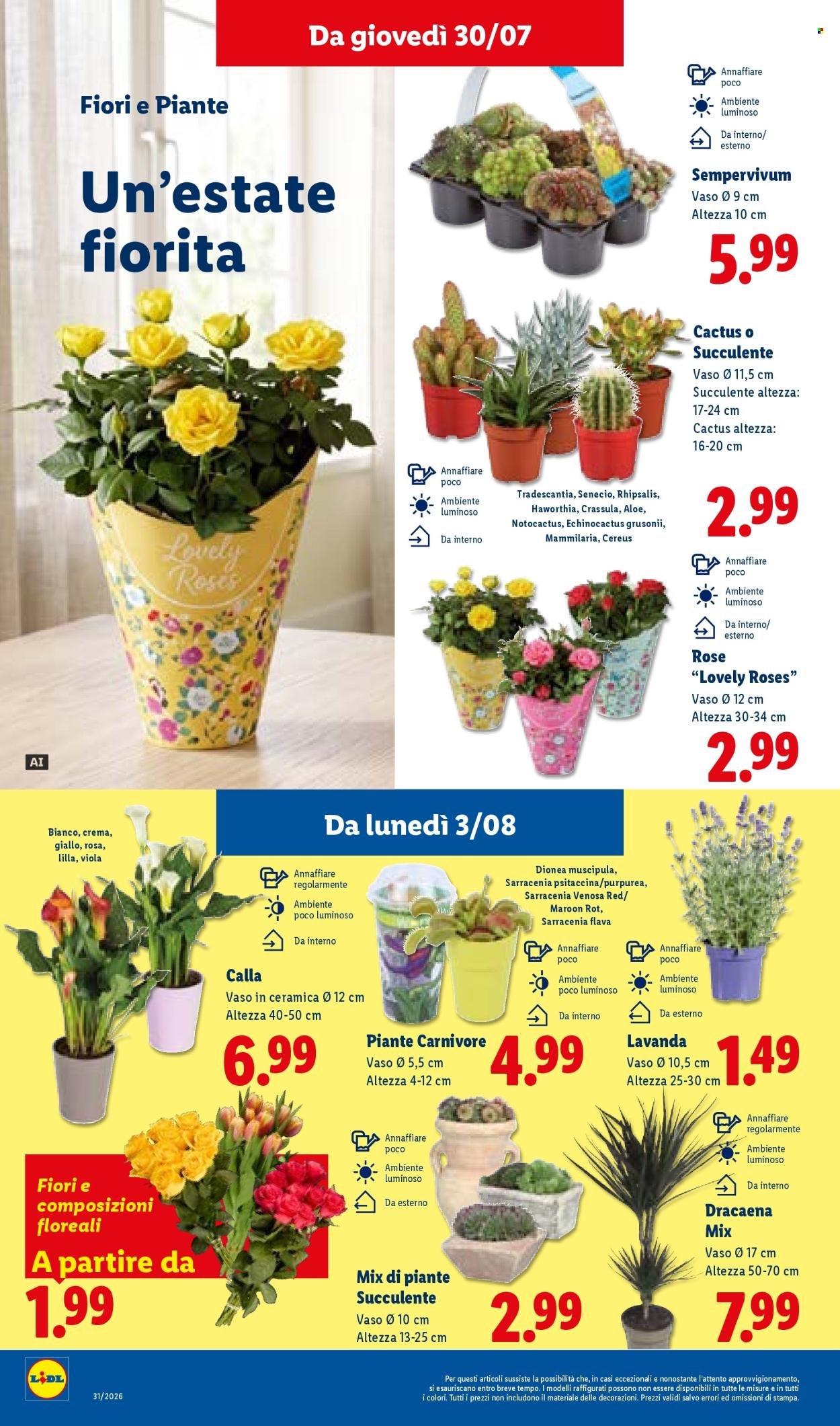 Volantino LIDL - L'estate del risparmio