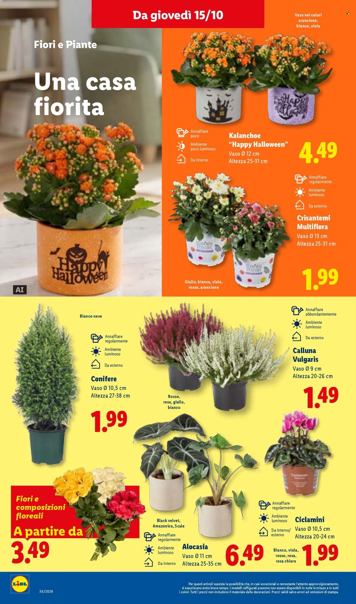 Volantino LIDL - XXL