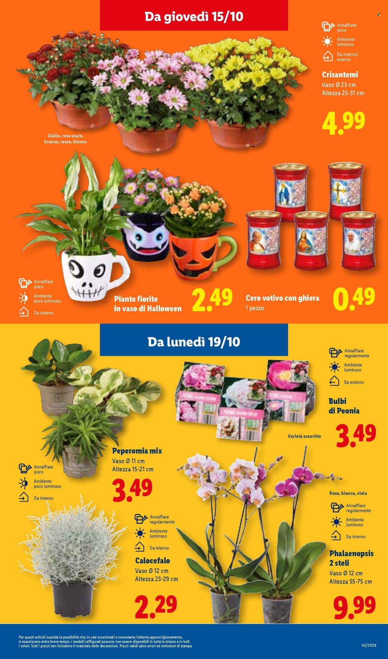 Volantino LIDL - XXL