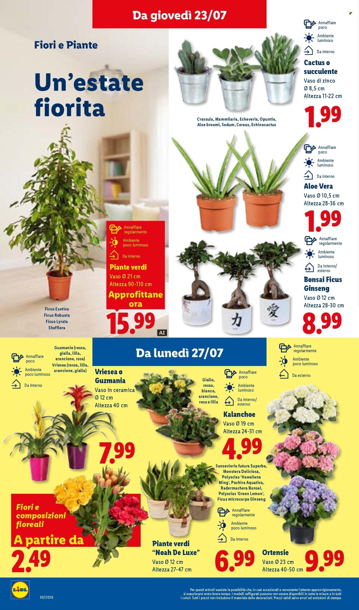 Volantino LIDL - L'estate del risparmio