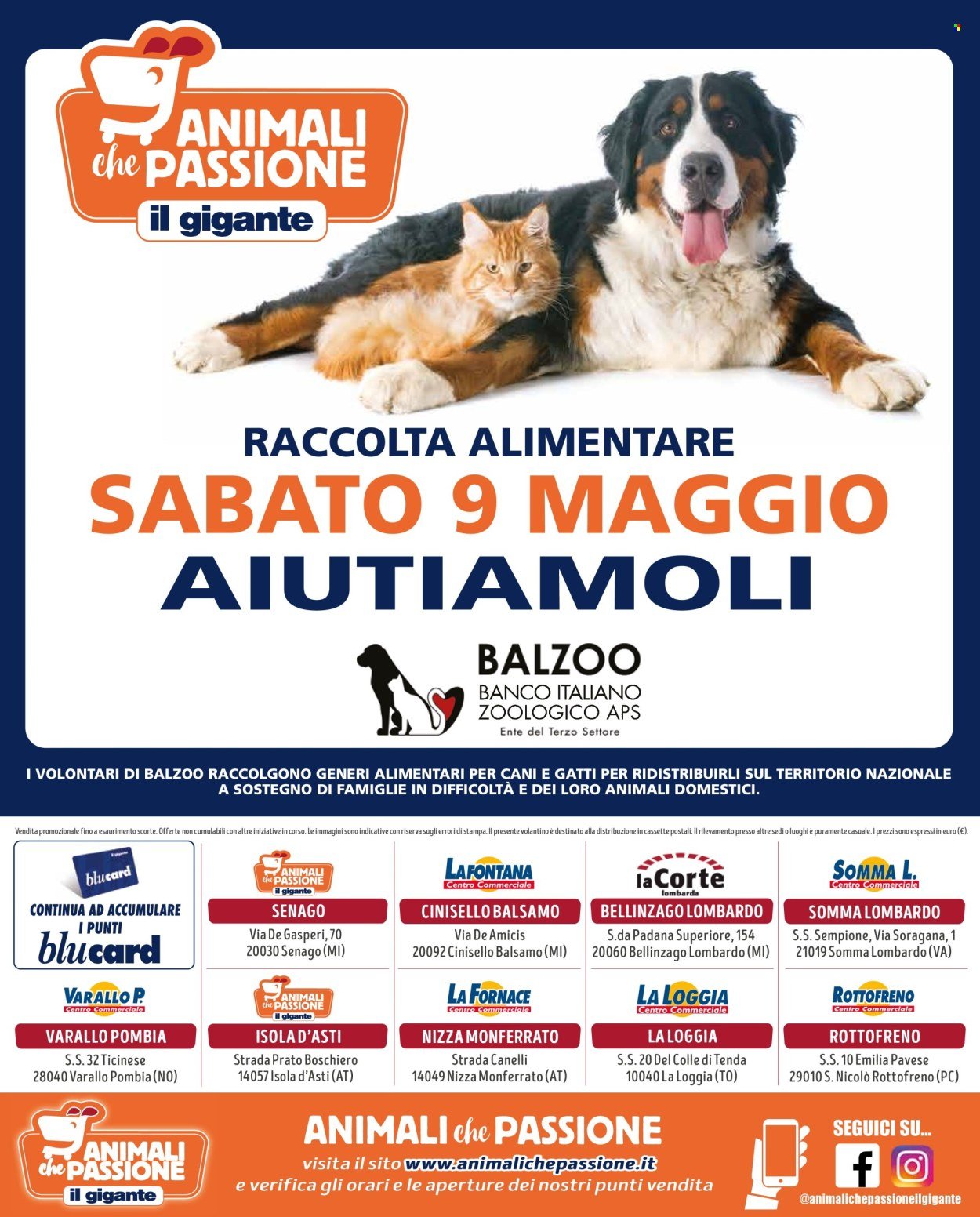 Volantino IL GIGANTE - Affari in gioco! (2026-05-07 - 2026-06-03)
