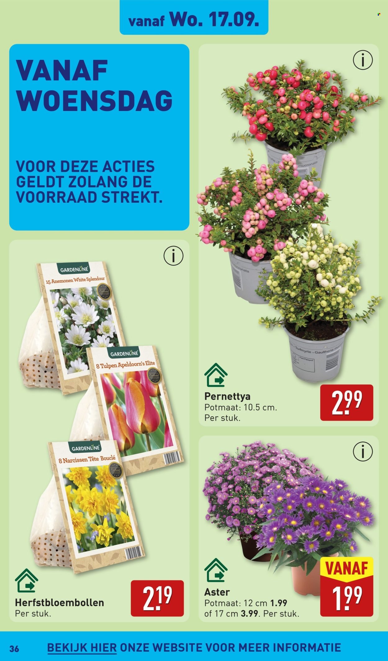 ALDI folder - Van maandag 15 september 2025 (2025-09-15 - 2025-09-21)