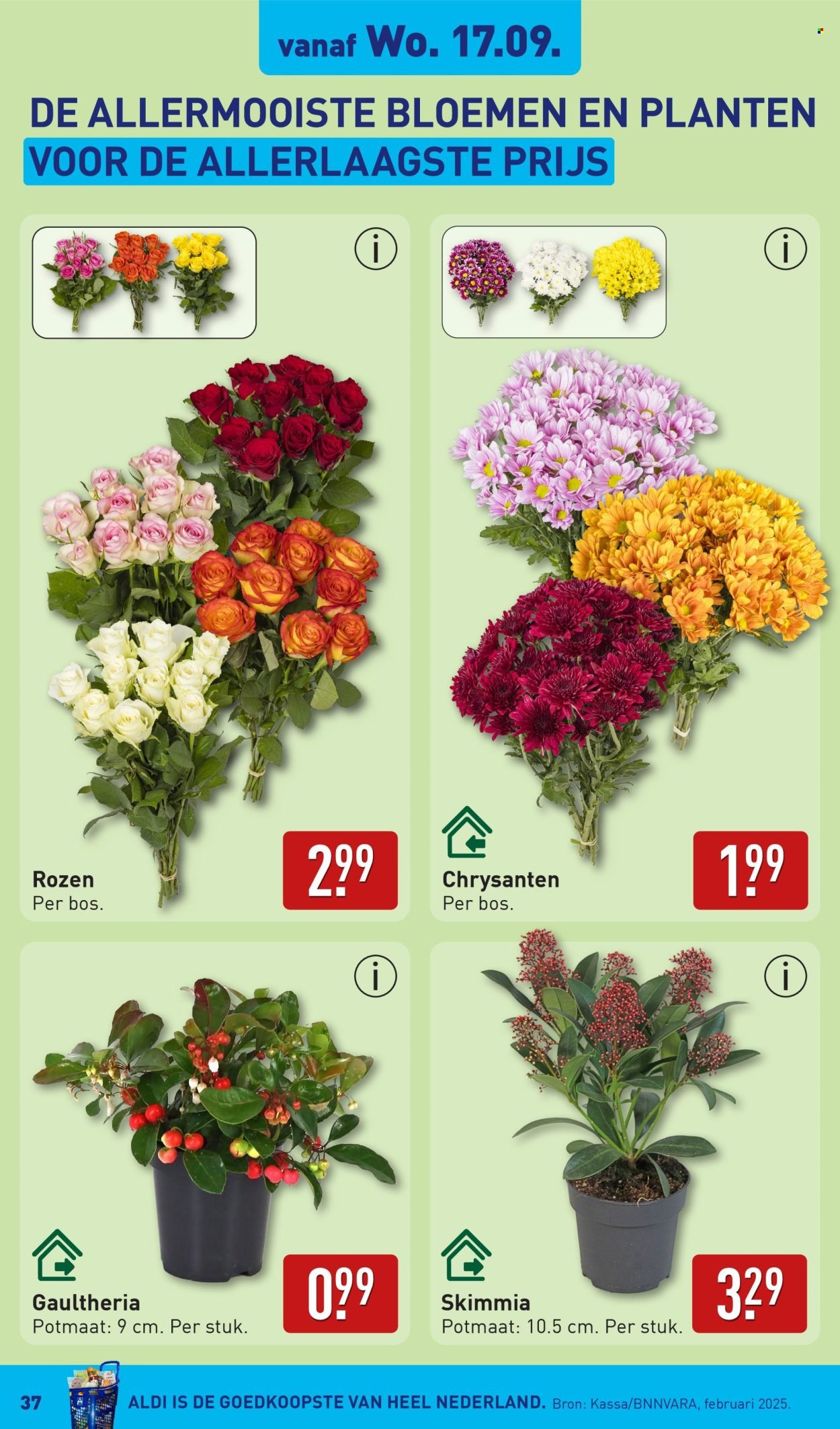 ALDI folder - Van maandag 15 september 2025 (2025-09-15 - 2025-09-21)