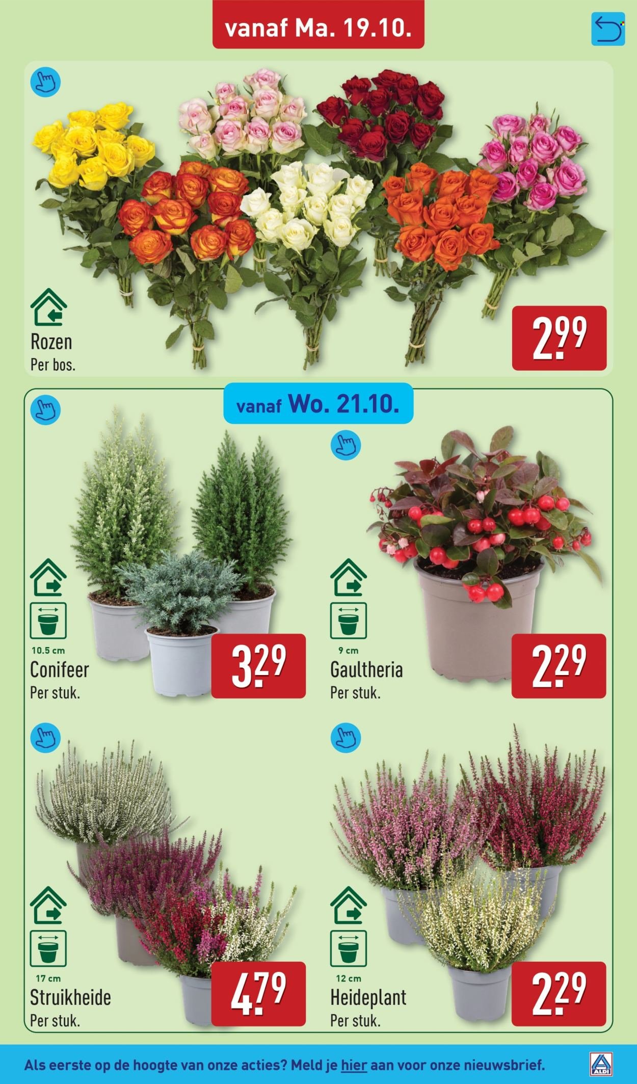 ALDI folder - Van maandag 19 oktober 2026