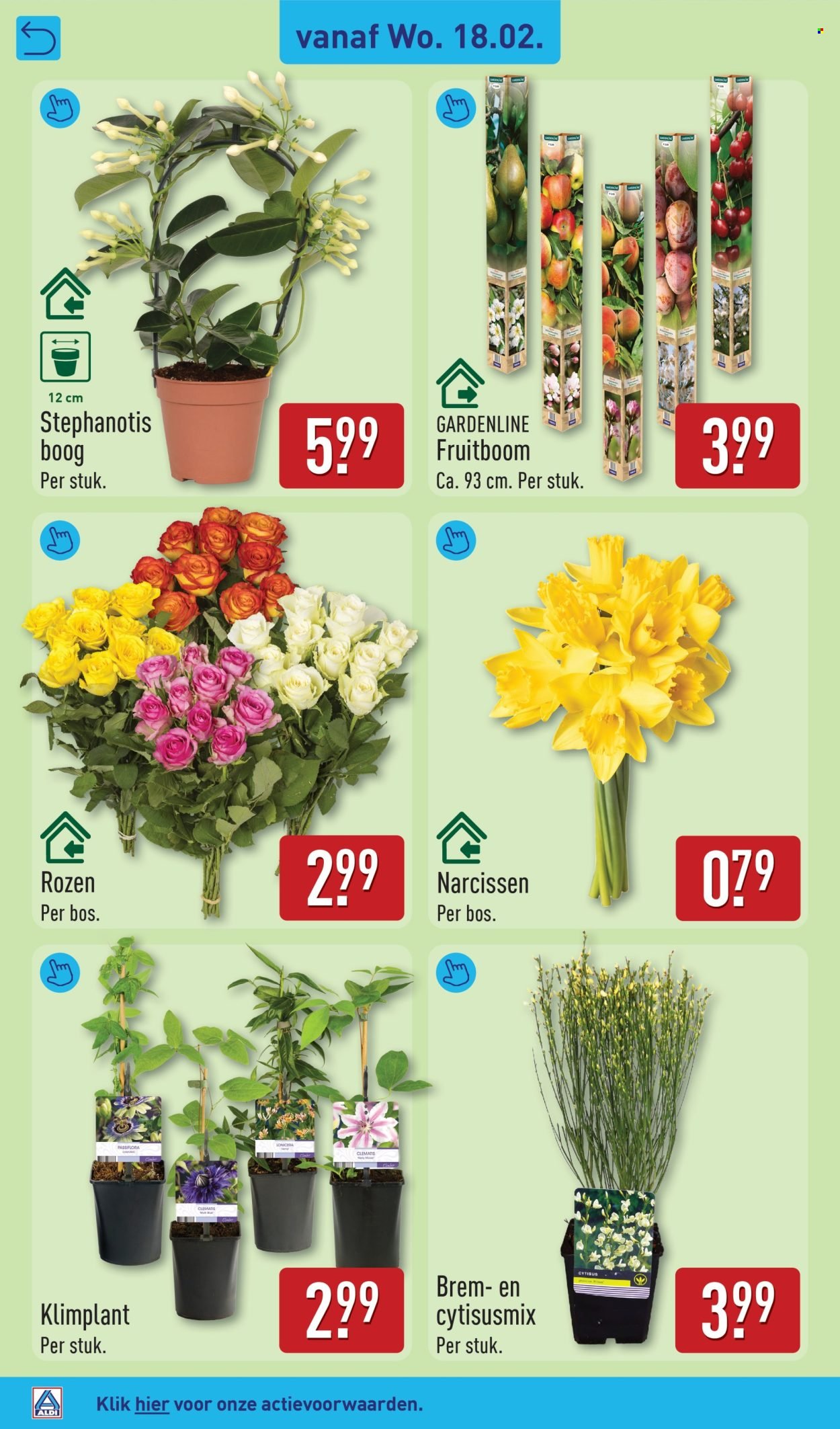 ALDI folder - Van maandag 16 februari 2026