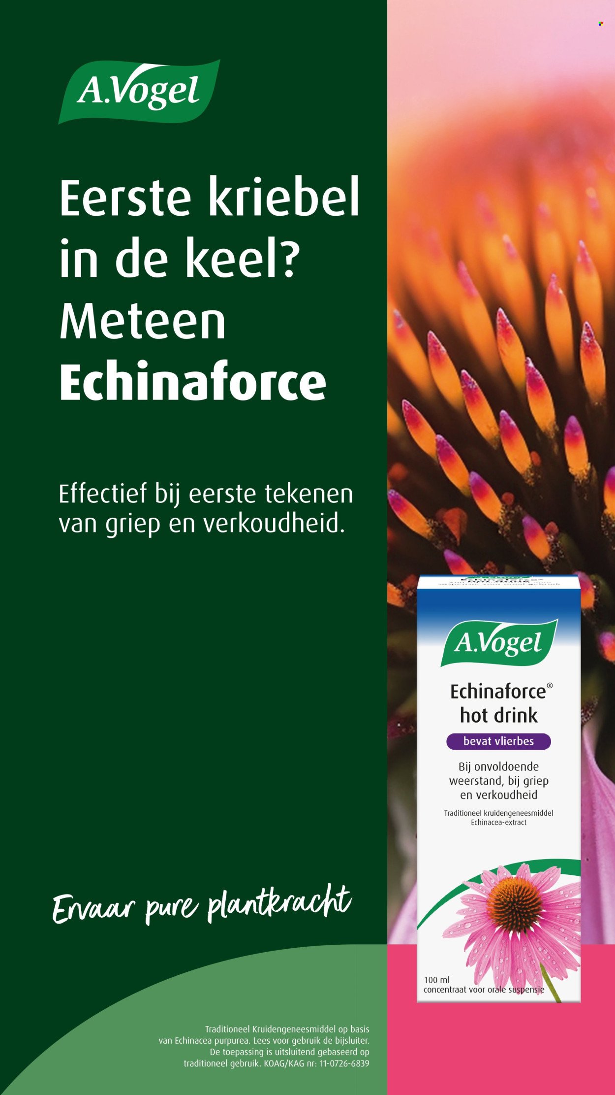 JUMBO folder - Van woensdag 2 september 2026