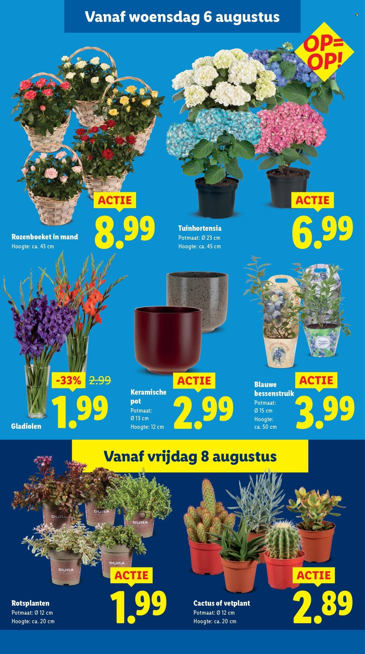 LIDL folder - Week 32 (2025-08-04 - 2025-08-10)