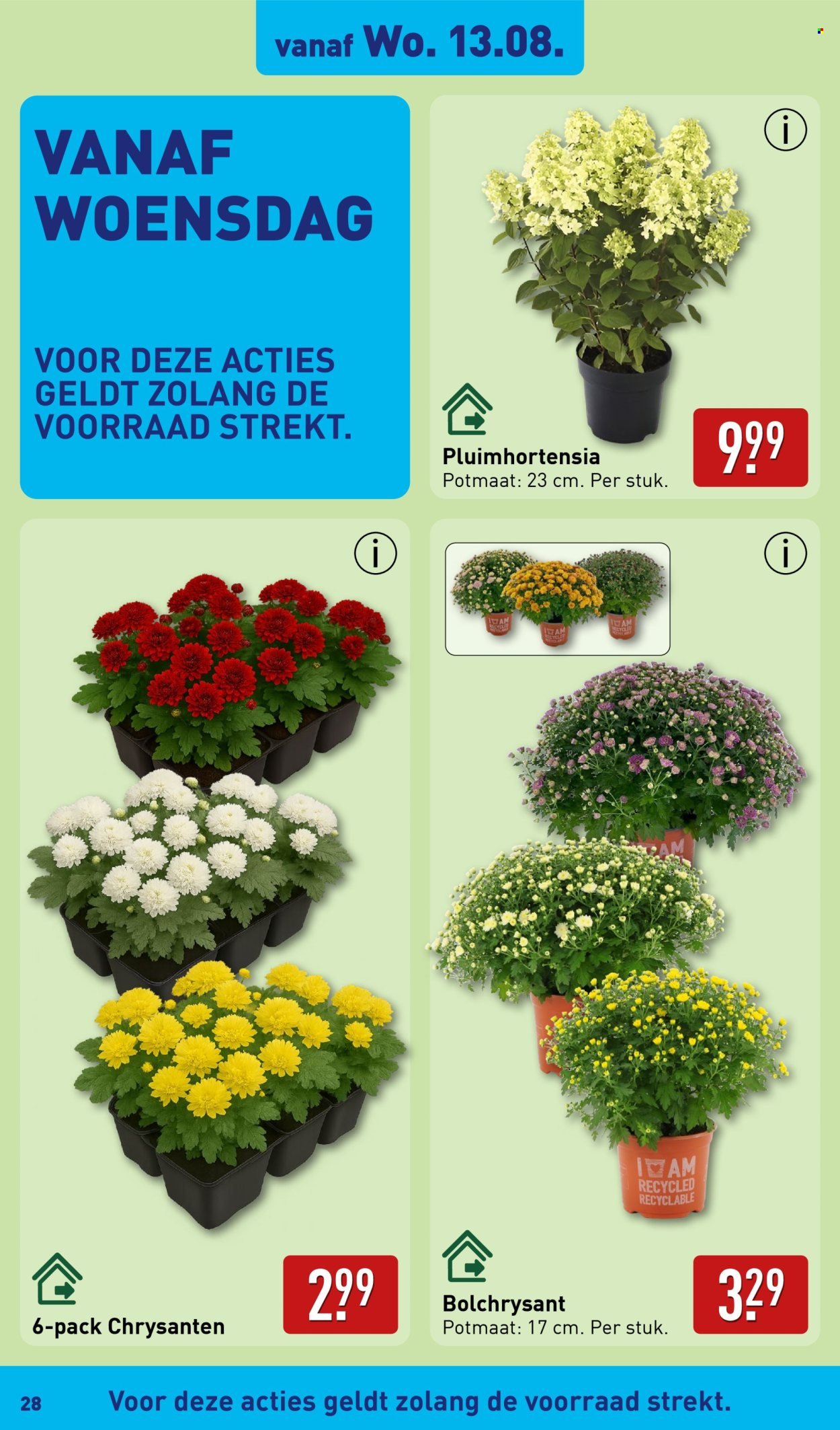ALDI folder - Van maandag 11 augustus 2025 (2025-08-11 - 2025-08-17)