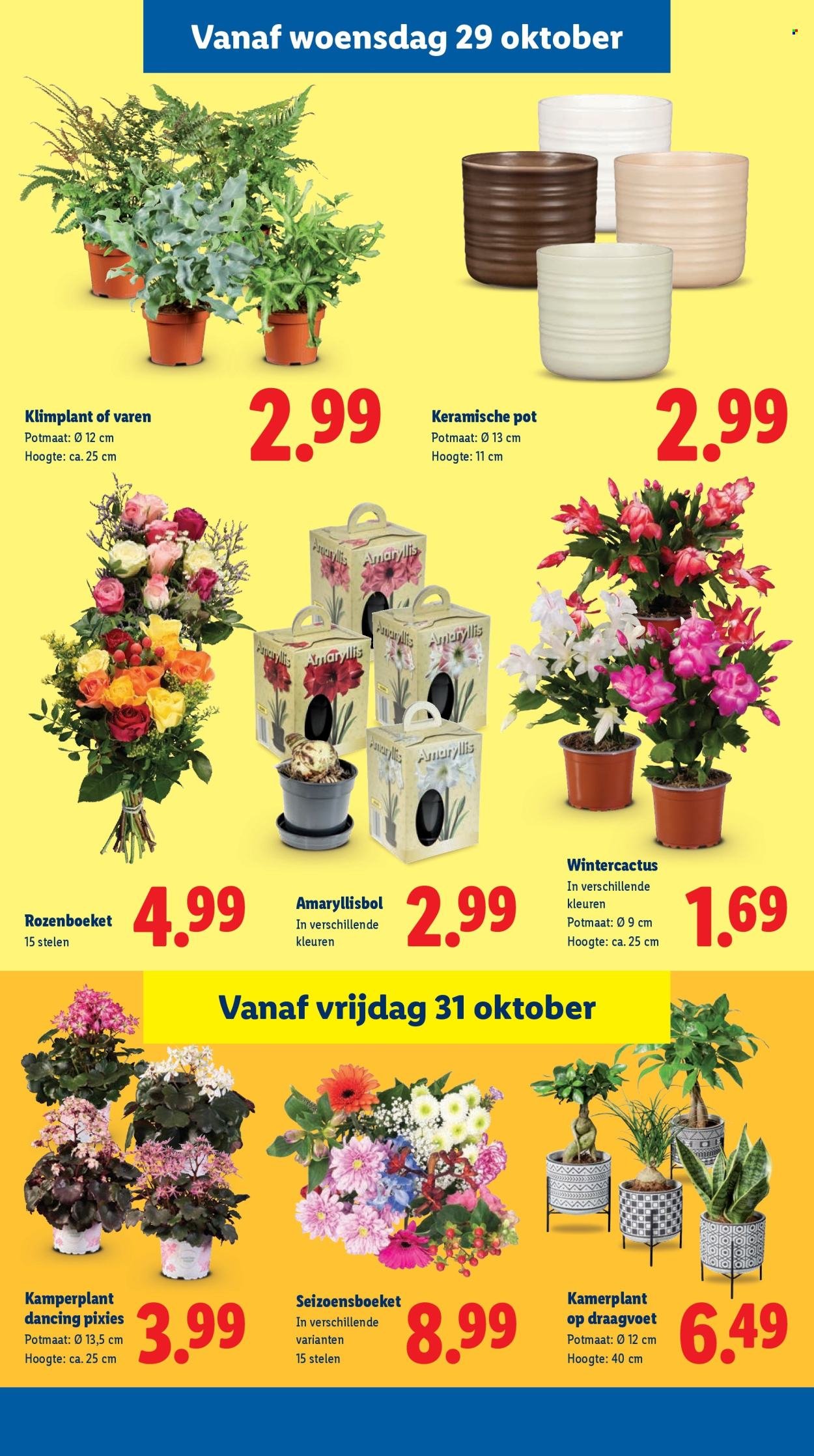 LIDL folder - Week 44 (2025-10-27 - 2025-11-02)