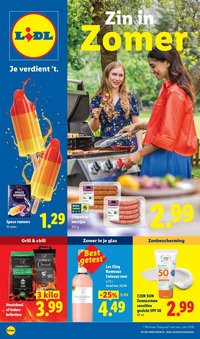 LIDL folder - Zon, BBQ, IJs & Rosé - Zin in Zomer
