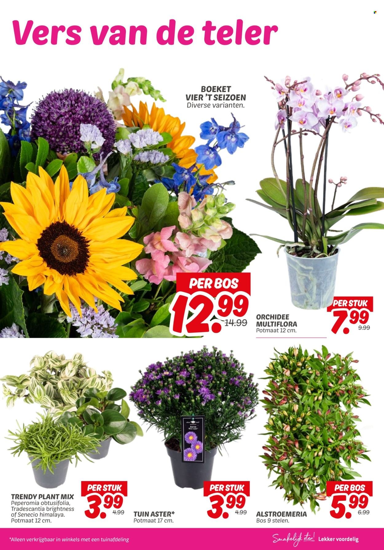 DEKAMARKT folder - Van dinsdag 2 september 2025 (2025-09-02 - 2025-09-08)