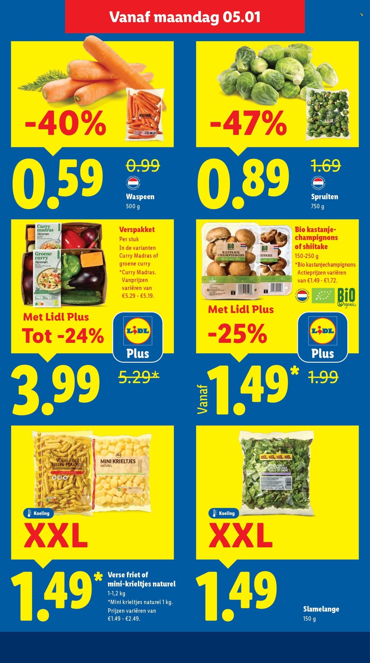 LIDL folder - Week 2