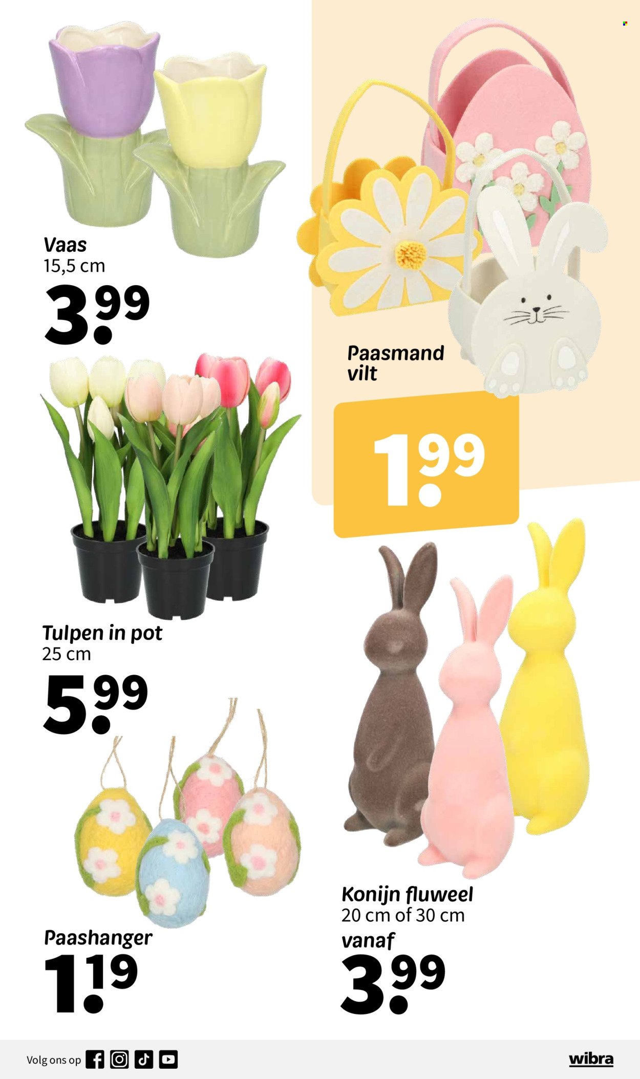 WIBRA folder - Week 10